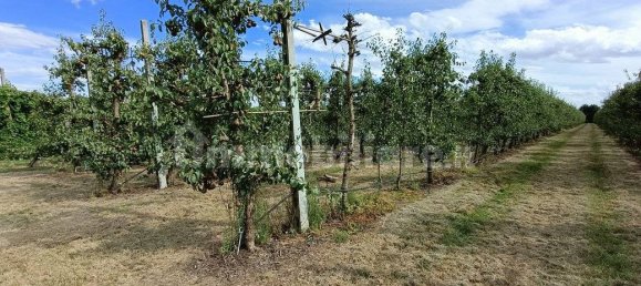  قطعة أرض في Lugo, Italy 56000متر مربع رقم 288963 15