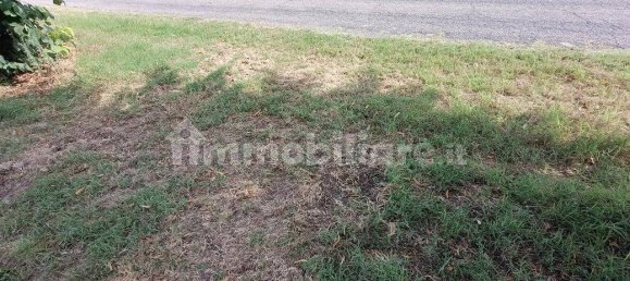  قطعة أرض في Lugo, Italy 56000متر مربع رقم 288963 18