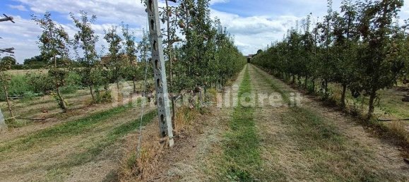  قطعة أرض في Lugo, Italy 56000متر مربع رقم 288963 5