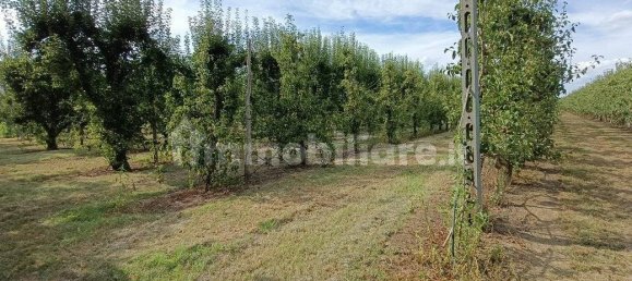  قطعة أرض في Lugo, Italy 56000متر مربع رقم 288963 21