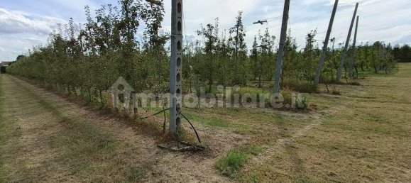  قطعة أرض في Lugo, Italy 56000متر مربع رقم 288963 6