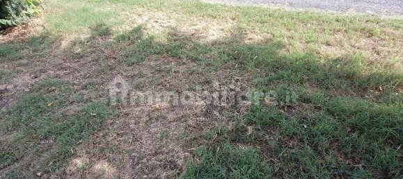  قطعة أرض في Lugo, Italy 56000متر مربع رقم 288963 19