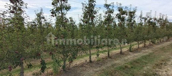  قطعة أرض في Lugo, Italy 56000متر مربع رقم 288963 2