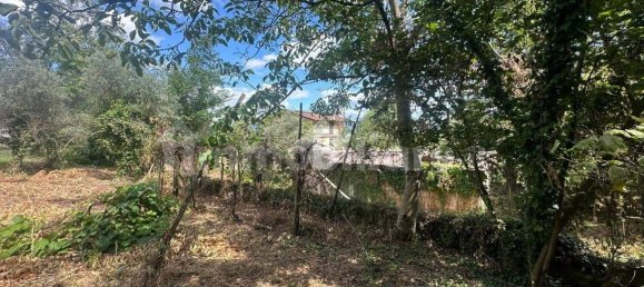 1031m² Land in Capriglia Irpina, Italy No. 285373 10