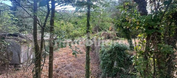 1031m² Land in Capriglia Irpina, Italy No. 285373 12