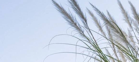 3 Schlafzimmer Wohnung in Marseille, France, Nr. 181932 9