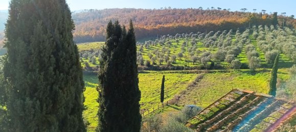 5 rooms Apartment in Scandicci, Italy No. 133867 12