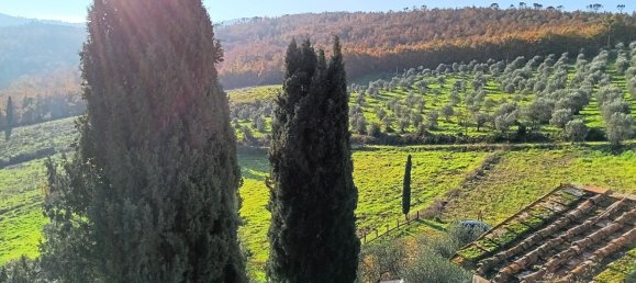 5 rooms Apartment in Scandicci, Italy No. 133867 11