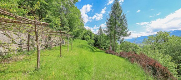 4 غرف نوم فيلا في Piesendorf, Austria رقم 169747 27