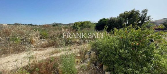 Lagerhaus in Mosta, Malta, Nr. 13238 2