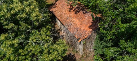 22 bedrooms House in Armil, Portugal No. 190300 41