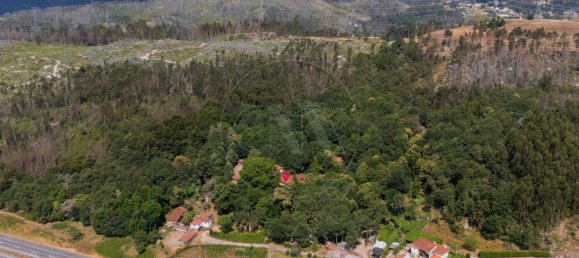 22 bedrooms House in Armil, Portugal No. 190300 4