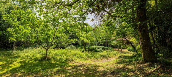 22 bedrooms House in Armil, Portugal No. 190300 7