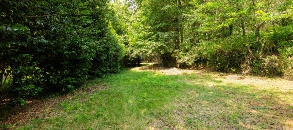 22 bedrooms House in Armil, Portugal No. 190300 34