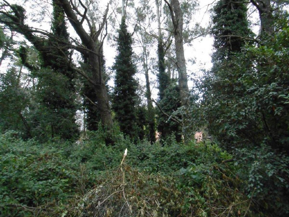 Terreno em Mar del Plata, Argentina N.º 112713