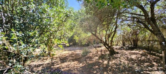 6 Schlafzimmer Haus in Cascais, Portugal, Nr. 169691 30