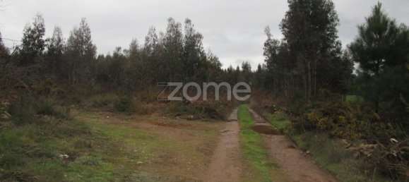  Land in Vila Nova de Famalicao, Portugal No. 35739 3