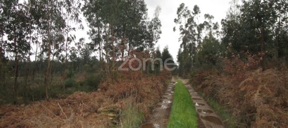  Land in Vila Nova de Famalicao, Portugal No. 35739 4