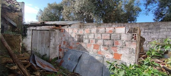 1 bedroom House in Pereira, Portugal No. 181946 14