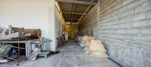  مستودع في Lourosa, Portugal 911متر مربع رقم 157404 17