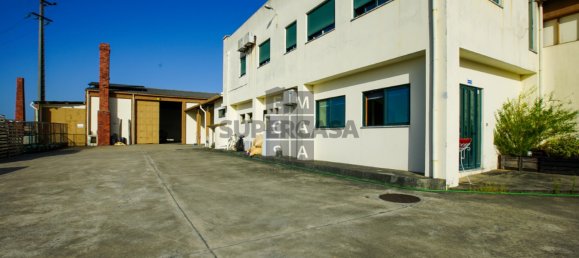  مستودع في Lourosa, Portugal 911متر مربع رقم 157404 5