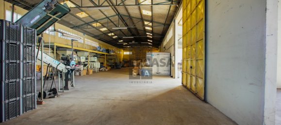  مستودع في Lourosa, Portugal 911متر مربع رقم 157404 11