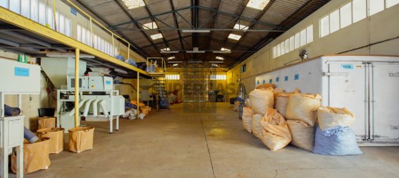  مستودع في Lourosa, Portugal 911متر مربع رقم 157404 12