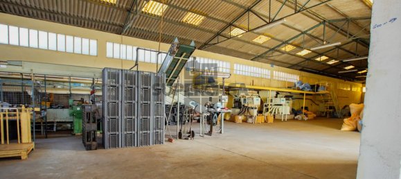  مستودع في Lourosa, Portugal 911متر مربع رقم 157404 10