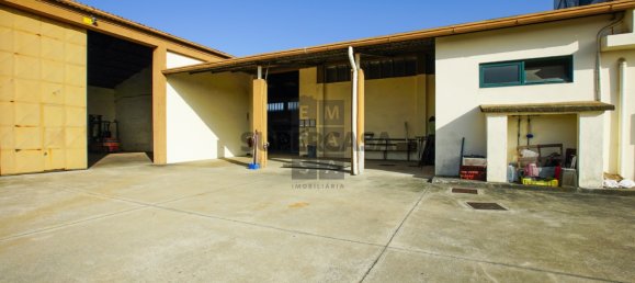  مستودع في Lourosa, Portugal 911متر مربع رقم 157404 6