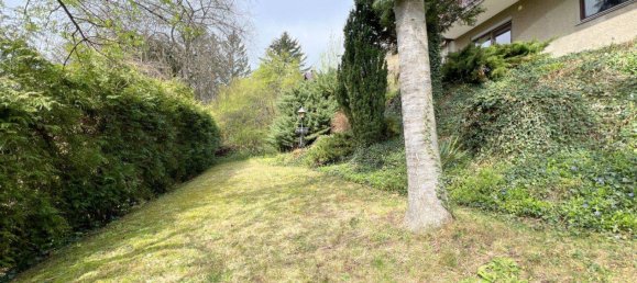 7 rooms House in Klosterneuburg, Austria No. 179236 2