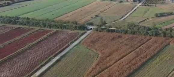 5 bedrooms House in Sinalunga, Italy No. 136332 23