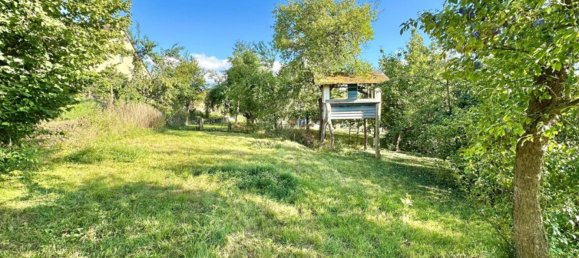 6 bedrooms House in Tauberbischofsheim, Germany No. 356674 7