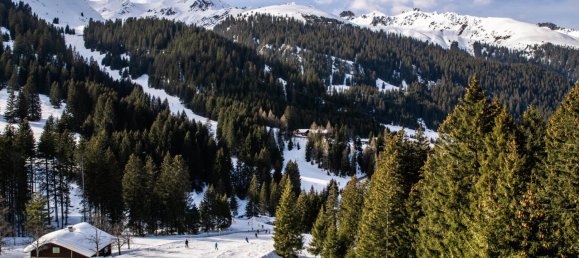 3-salle Appartement à St. Gallenkirch, Austria No. 103681 3