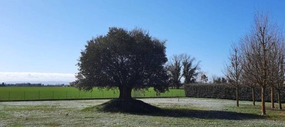 3 Schlafzimmer Villa in Ravenna, Italy, Nr. 334902 11