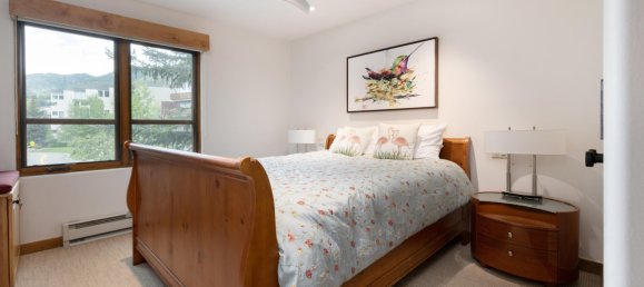 Кафе / ресторан с 5 спальнями в Вейл, США № 58 11