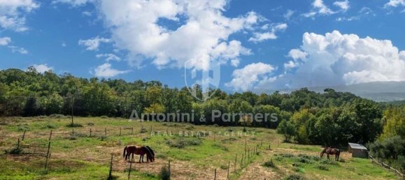 Casa de 20 dormitorios en Città della Pieve, Italy No. 173120 17