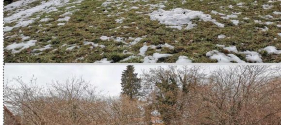 Земельный участок в Ветцельсдорф, Австрия № 244021 5