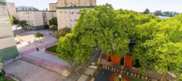 3 bedrooms Apartment in Jerez de la Frontera, Spain No. 169555 55