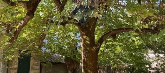 21 room Villa in Tredozio, Italy No. 166040 27