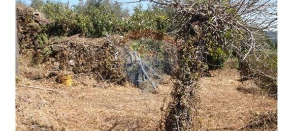 3 bedrooms House in Alvaiazere, Portugal No. 188548 16