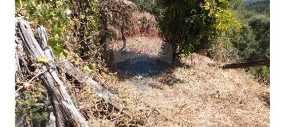 3 bedrooms House in Alvaiazere, Portugal No. 188548 17