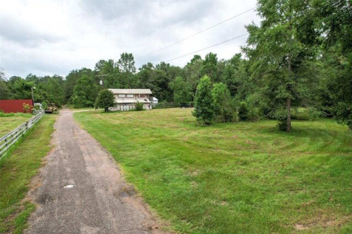 Студия в New Caney, США № 376138