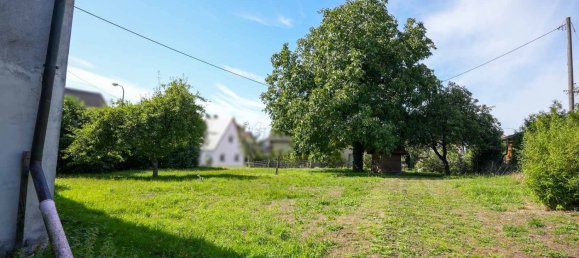 4غرفة منزل في Sudwestpfalz, Germany رقم 190232 11