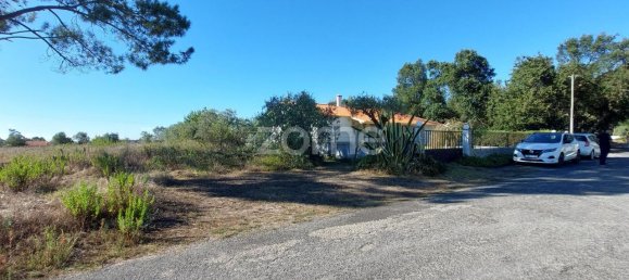 Земельный участок 4277м² в Aljubarrota, Португалия № 71870 9