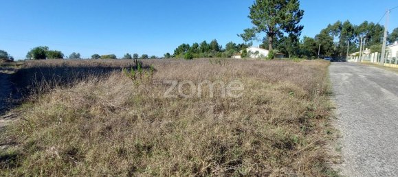 Земельный участок 4277м² в Aljubarrota, Португалия № 71870 10