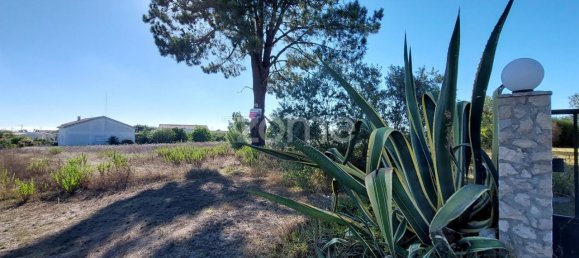 Земельный участок 4277м² в Aljubarrota, Португалия № 71870 5