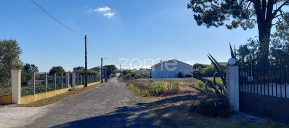 Земельный участок 4277м² в Aljubarrota, Португалия № 71870 11