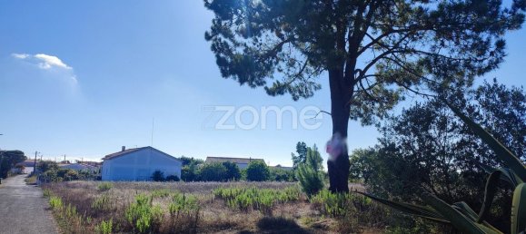 Земельный участок 4277м² в Aljubarrota, Португалия № 71870 13