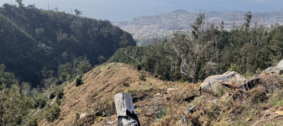  قطعة أرض في Funchal, Portugal 129730متر مربع رقم 65428 8