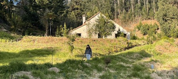  قطعة أرض في Funchal, Portugal 129730متر مربع رقم 65428 4